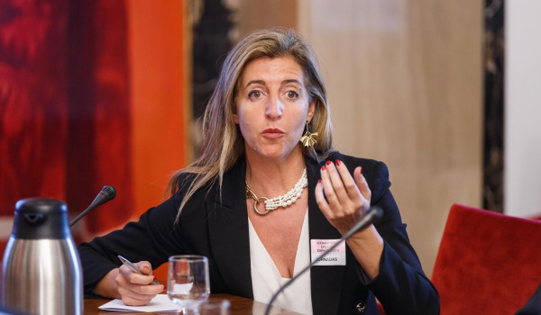 Teresa Rodríguez de las Heras Ballell, Profesora titular de derecho mercantil, Universidad Carlos III de Madrid (UC3M).