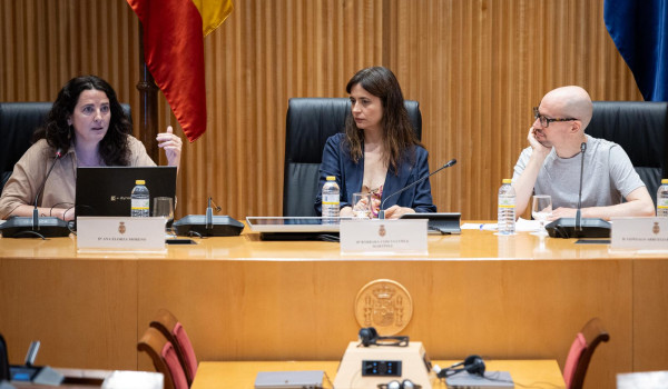 Ana Elorza durante su intervención en la mesa redonda de las IV Jornadas Parlamentarias Ana Elorza durante su intervención en la mesa redonda de las IV Jornadas Parlamentarias