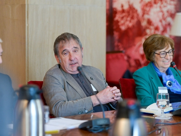 Luis Camarero, catedrático de Sociología de la UNED, durante su intervención.